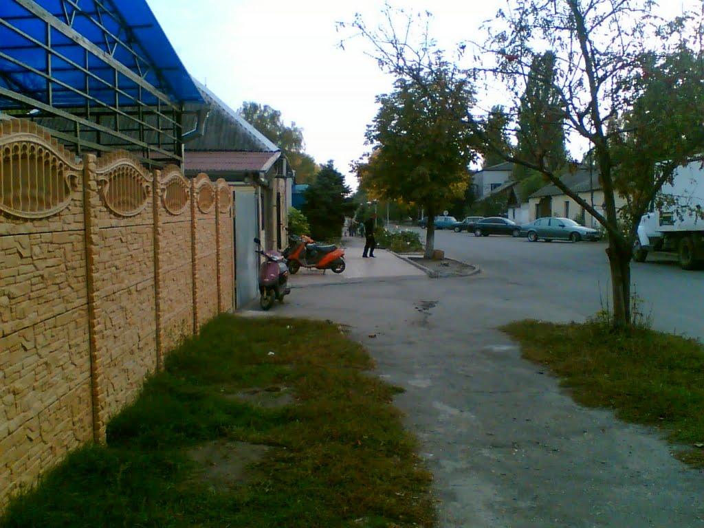 Петропавлівка з panoramio.com - Петропавлівка