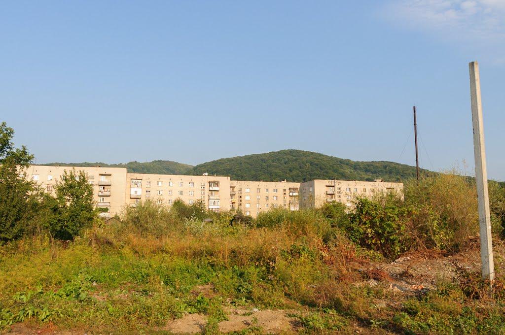 Великий Березний з panoramio.com - Великий Березний