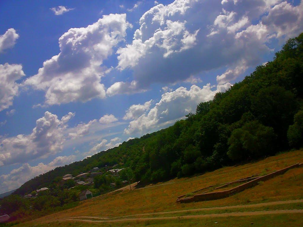 Красний Мак з panoramio.com - Красный Мак