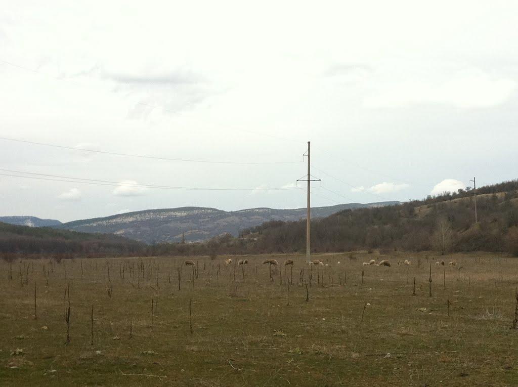 Синапне з panoramio.com - Синапное