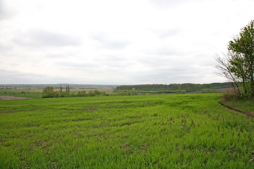 Андріївка з panoramio.com - Андріївка