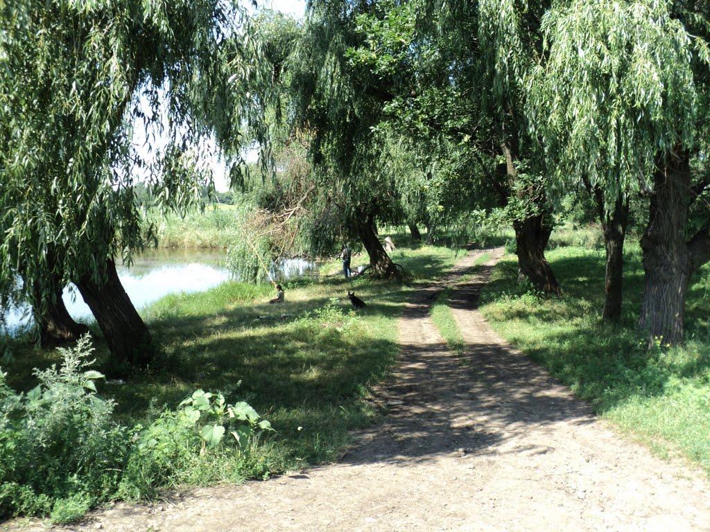 П'ятихатки з panoramio.com - П'ятихатки