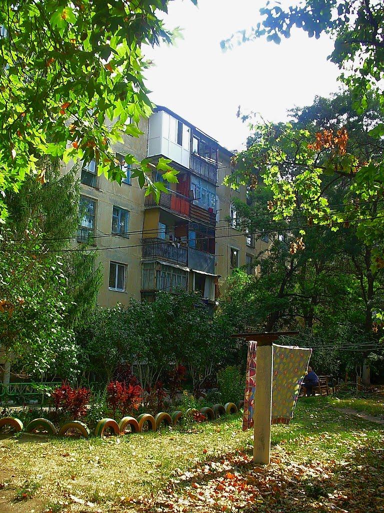Молодіжне з panoramio.com - Молодіжне