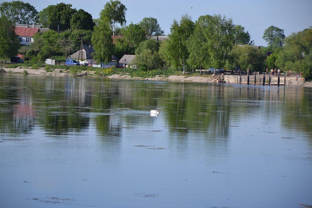 Пашківці з panoramio.com - Пашковцы
