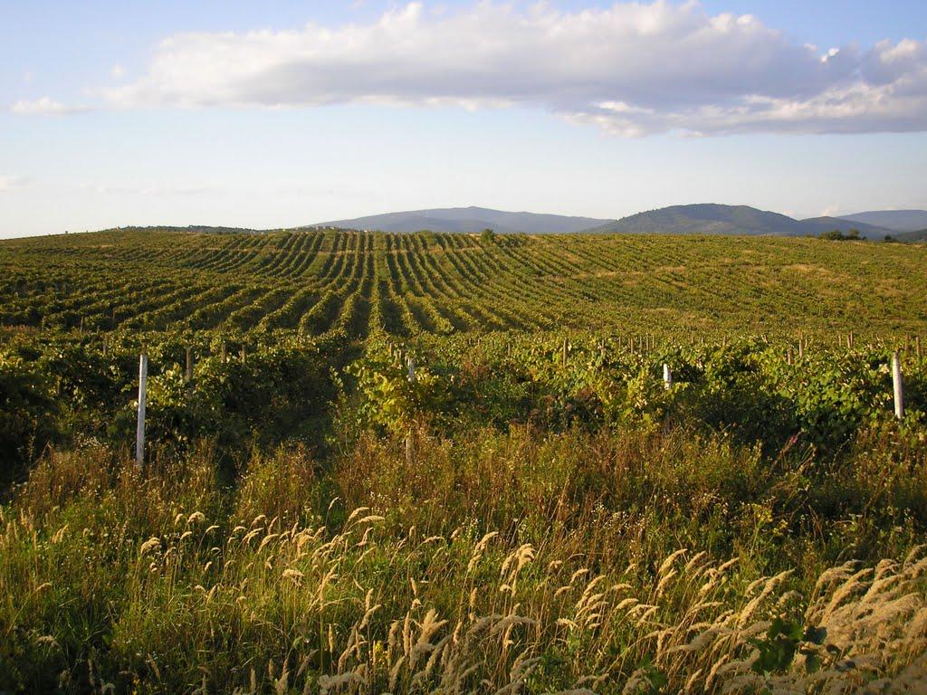 Чертеж з panoramio.com - Чертеж