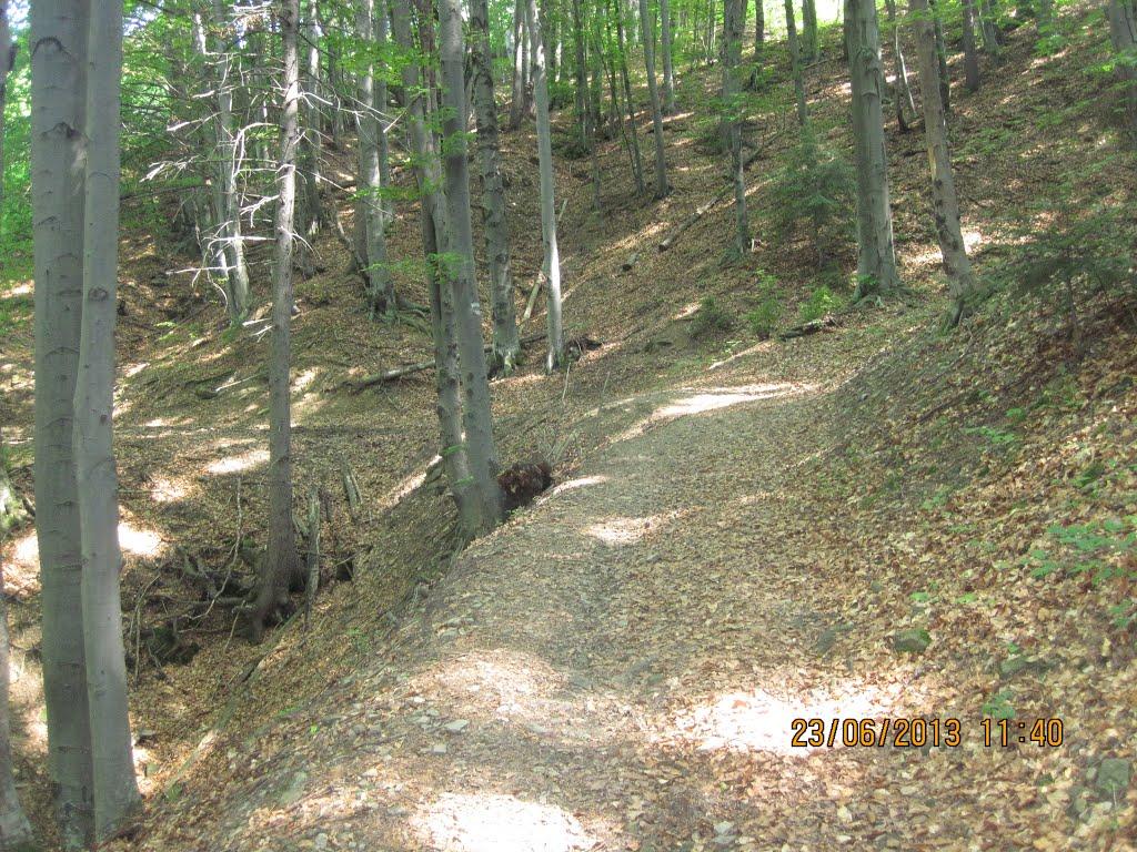 Хорови з panoramio.com - Хорови