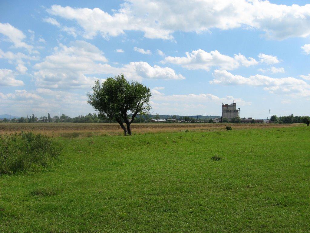 Іршава з panoramio.com - Іршава