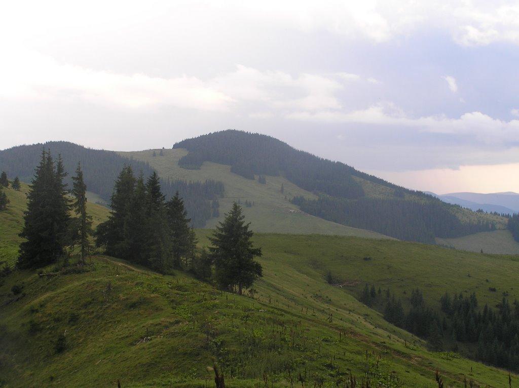 Топільче з panoramio.com - Топільче