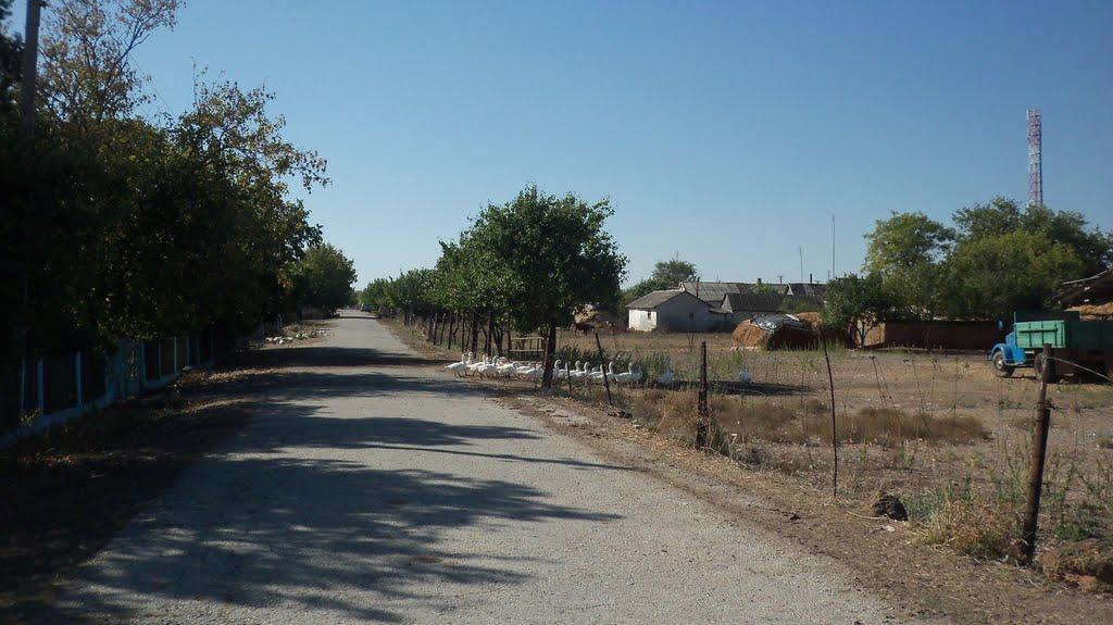 Зимине з panoramio.com - Зимине