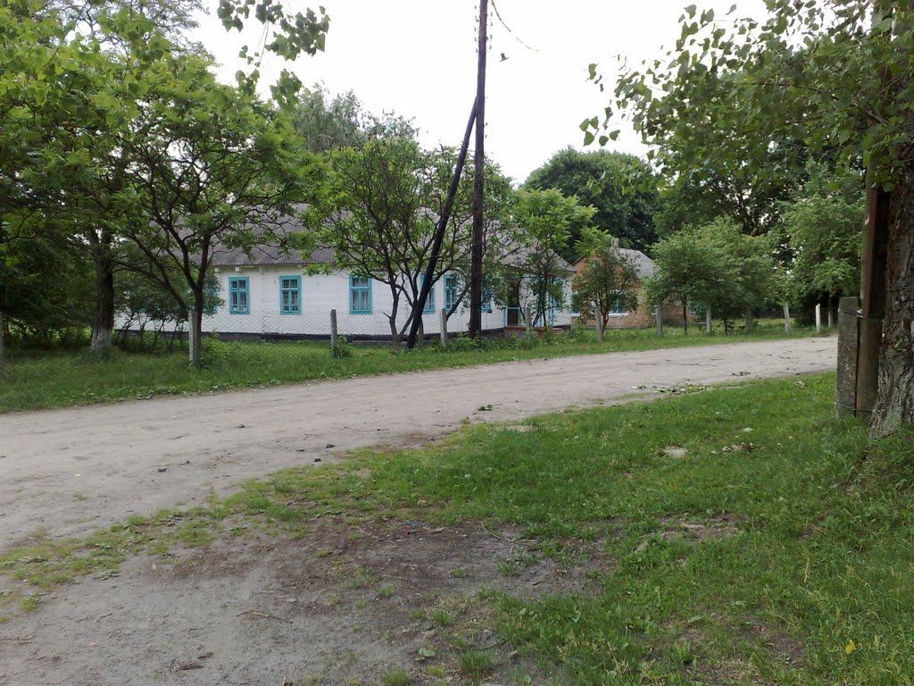 Свинарин з panoramio.com - Свинарин