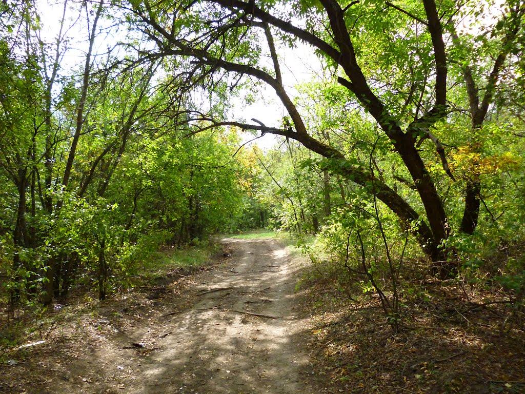 Вільне з panoramio.com - Вольное