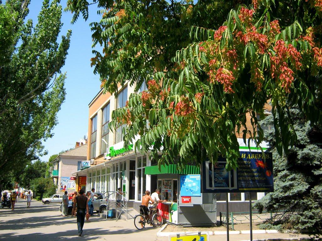 Генічеськ з panoramio.com - Genichesk