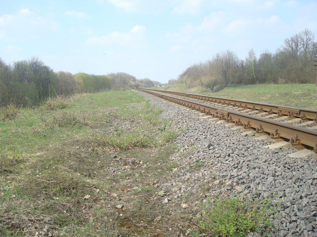 Великі Юначки з panoramio.com - Великі Юначки