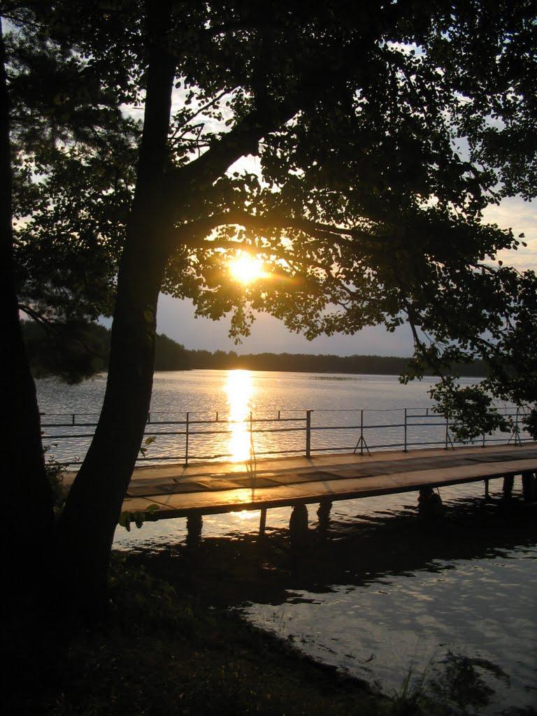 Мельники з panoramio.com - Мельники