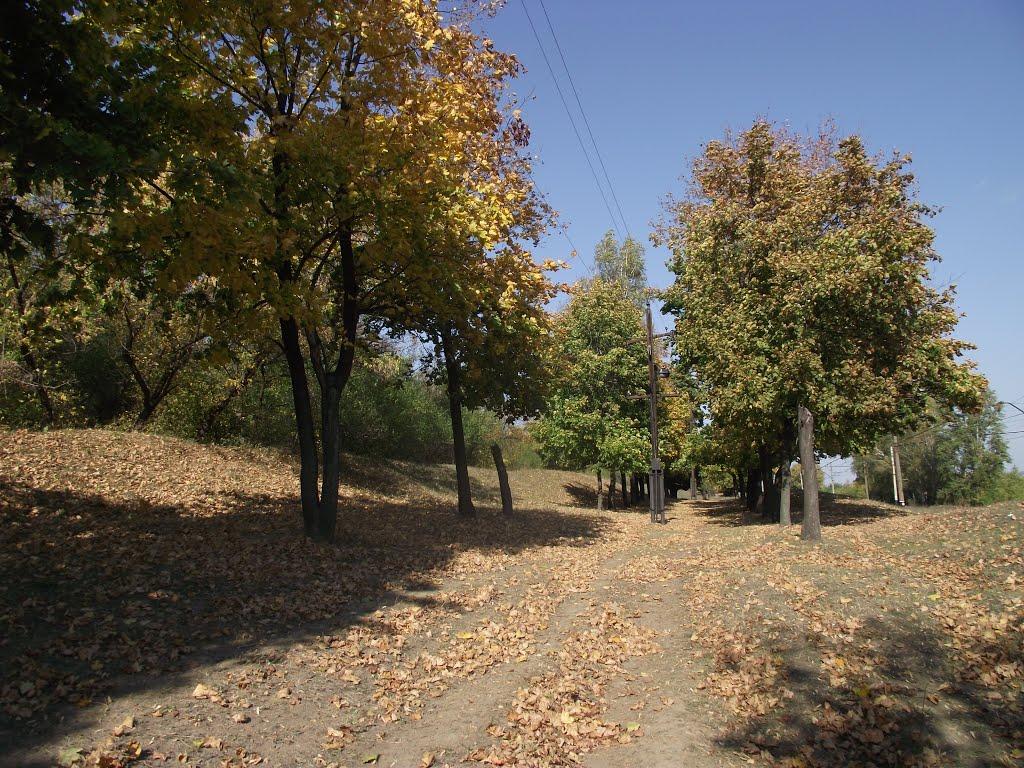 Артемівськ з panoramio.com (ч.2) - Артемівськ