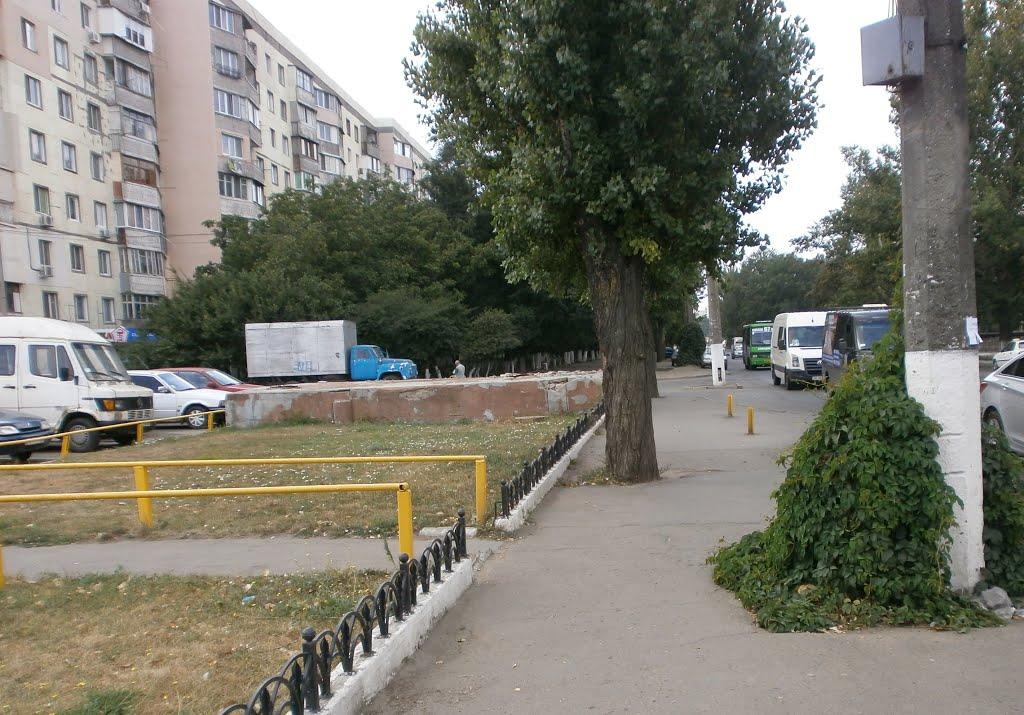 Іллічівка з panoramio.com - Ильичовка