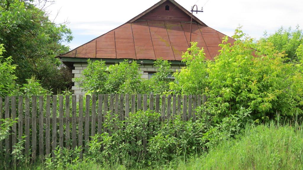 Софіївка з panoramio.com - Софиевка