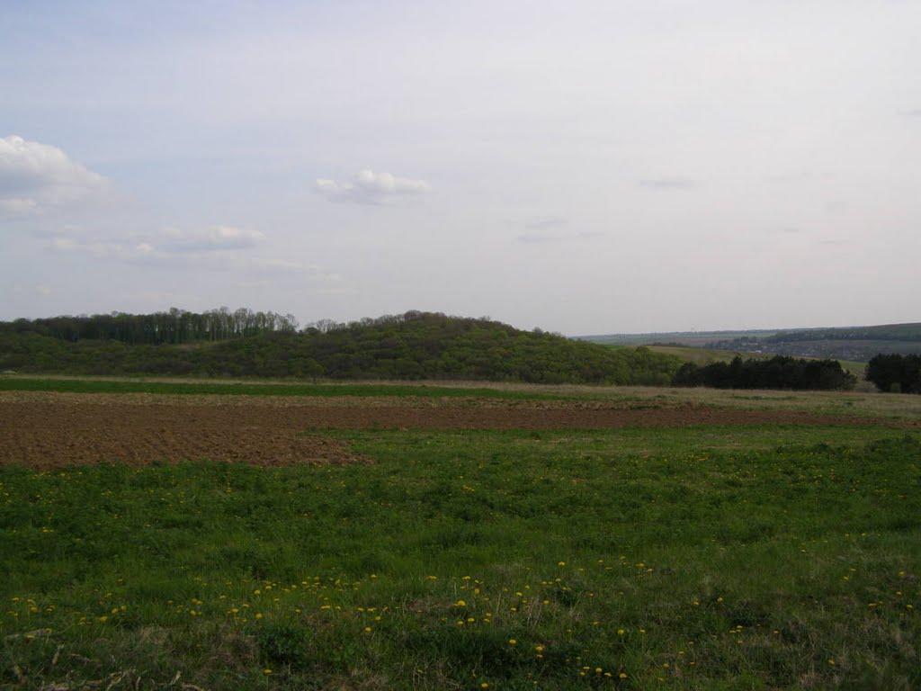 Віньківці з panoramio.com - Віньківці