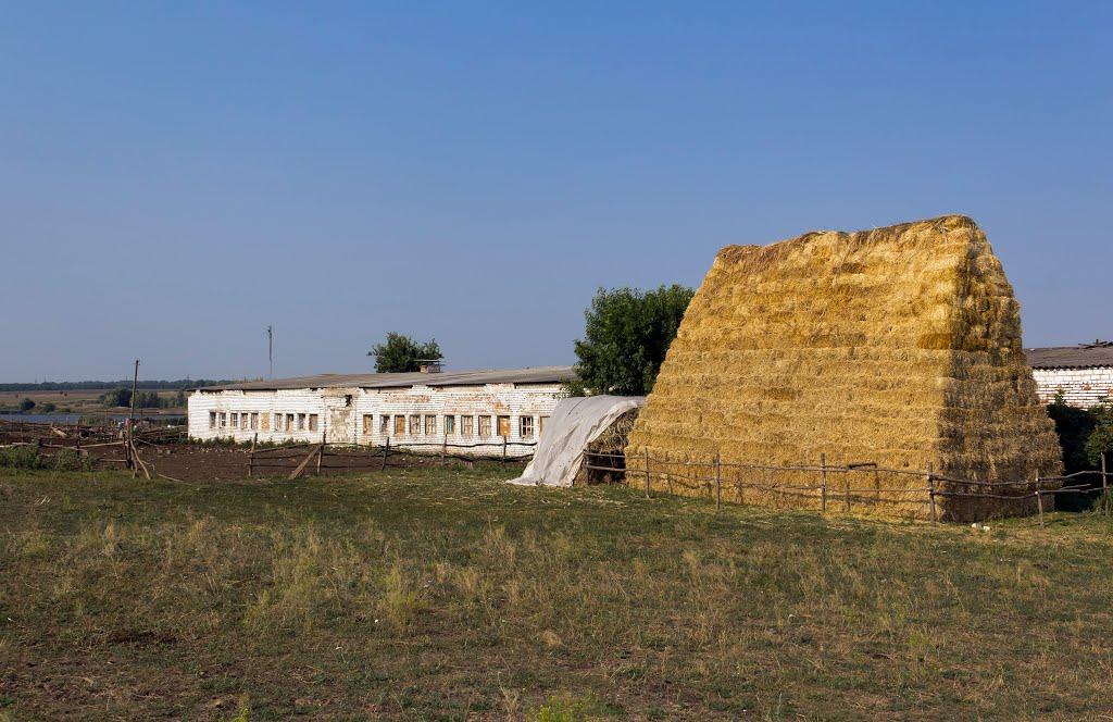 Неудачне з panoramio.com - Неудачное