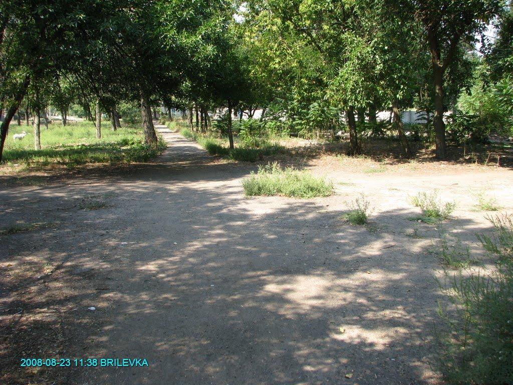 Брилівка з panoramio.com - Брилівка