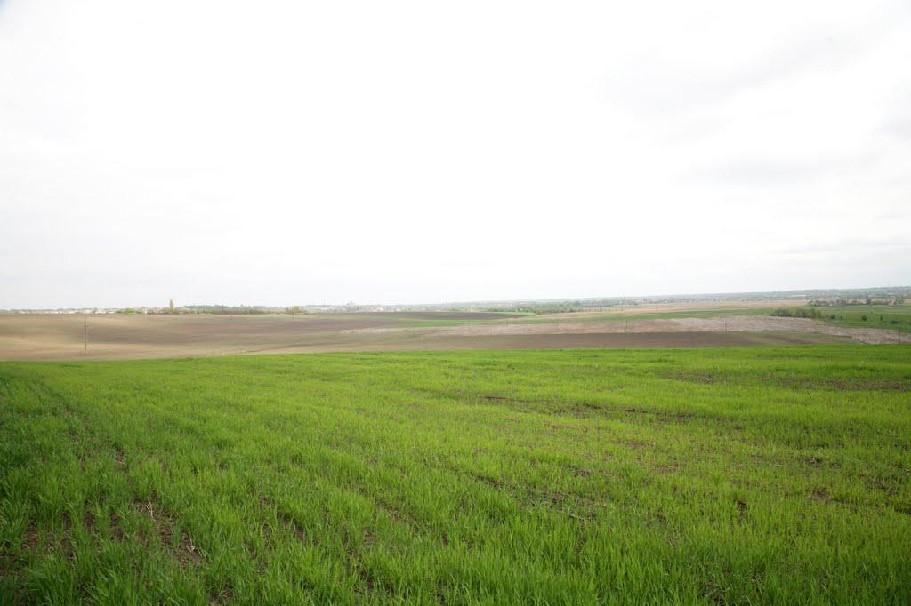 Новомиргород з panoramio.com - Novomyrhorod