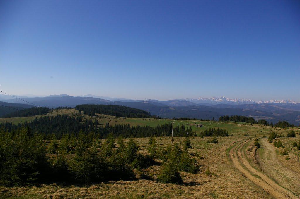 Сарата з panoramio.com - Сарата