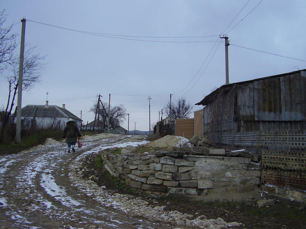Октябрське з panoramio.com - Октябрське