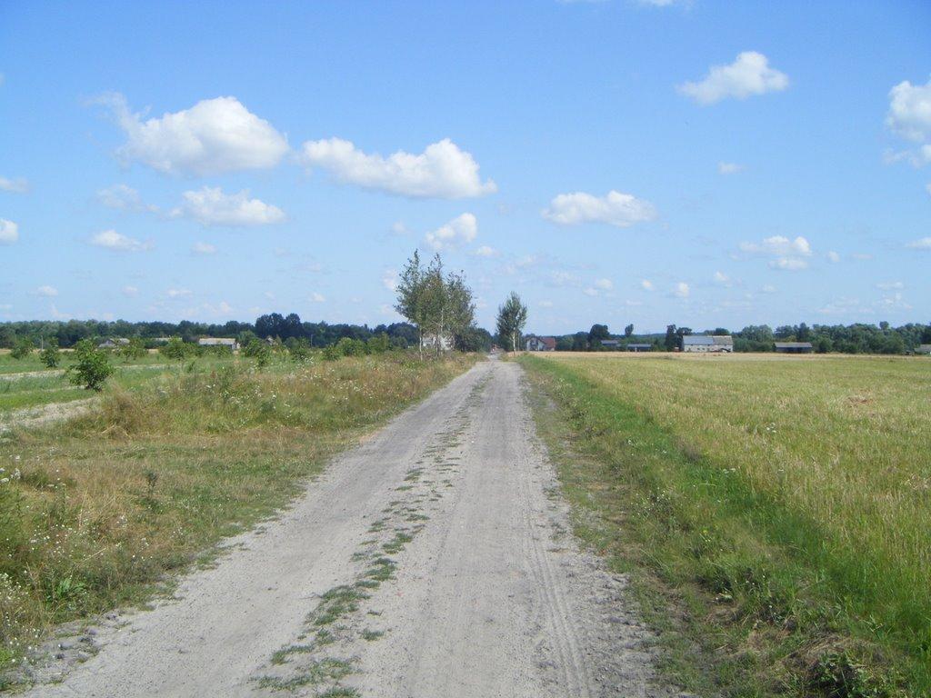 Перешпа з panoramio.com - Перешпа