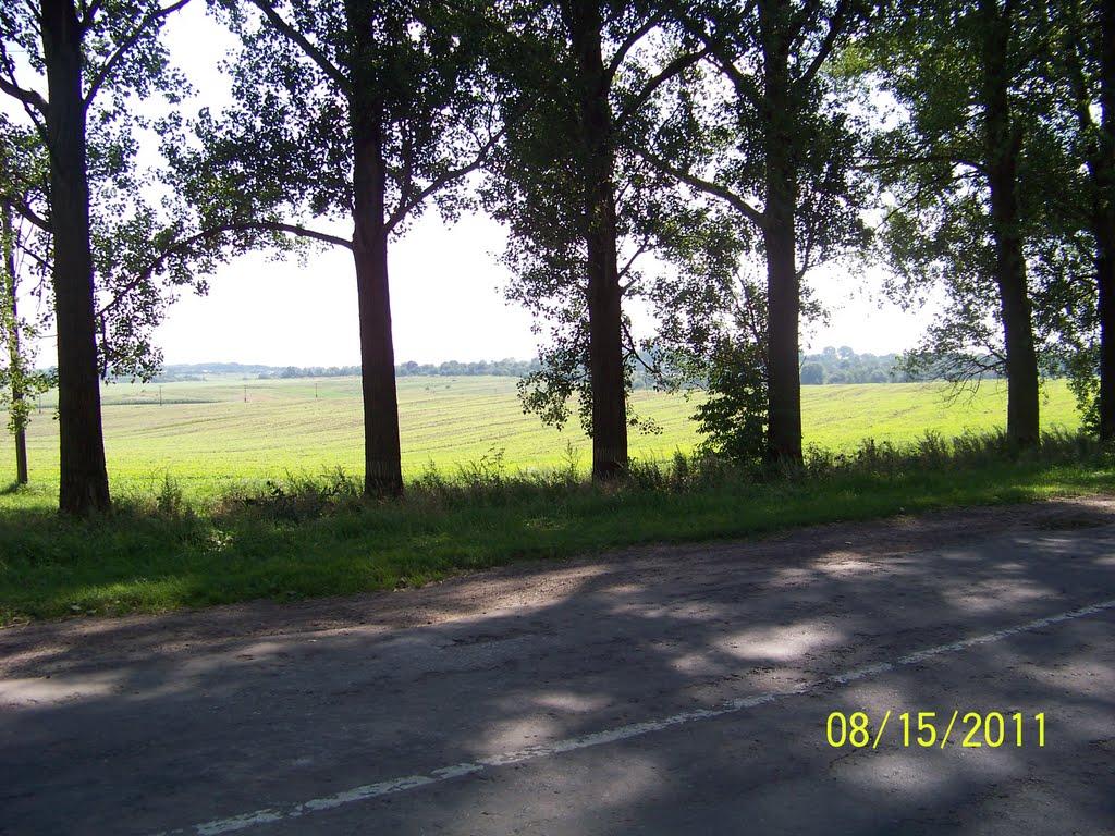 Сенкевичівка з panoramio.com - Сенкевичівка