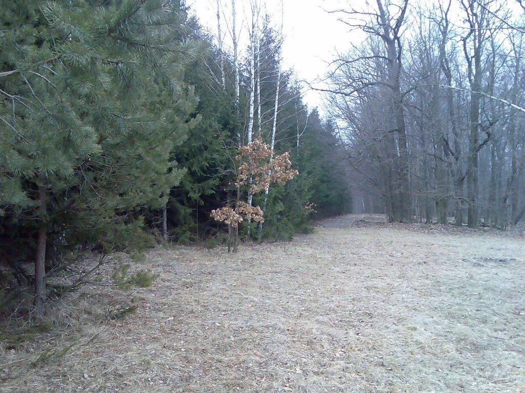 Мельники з panoramio.com - Мельники