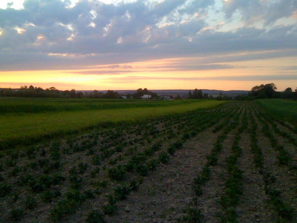 Замок з panoramio.com - Замок