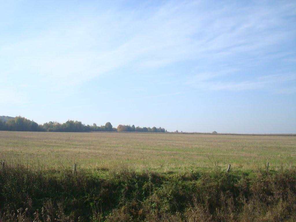 Лісоводи з panoramio.com - Лесоводы