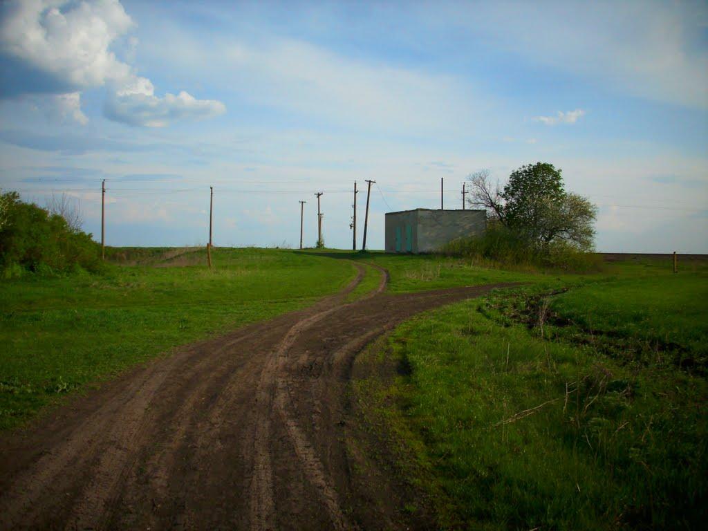 Наливайкове з panoramio.com - Наливайкове