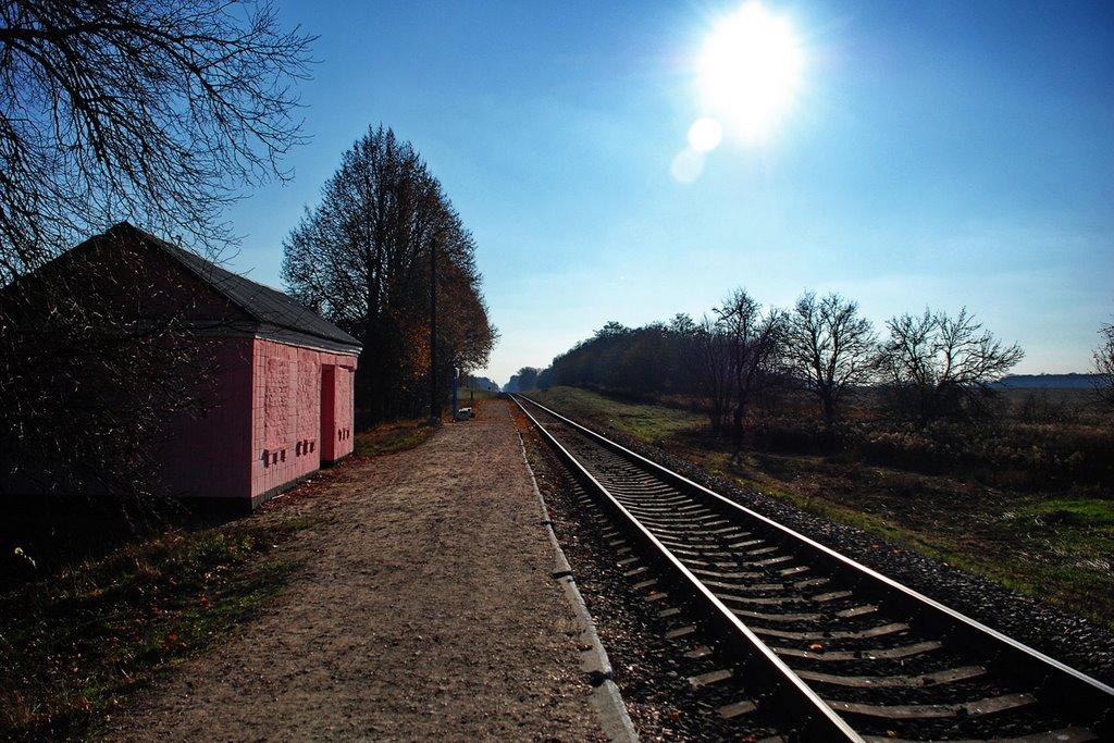 Сезьки з panoramio.com - Сезьки