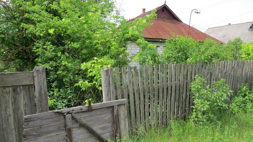 Софіївка з panoramio.com - Софиевка