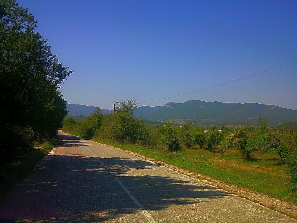 Плотинне з panoramio.com - Плотинное