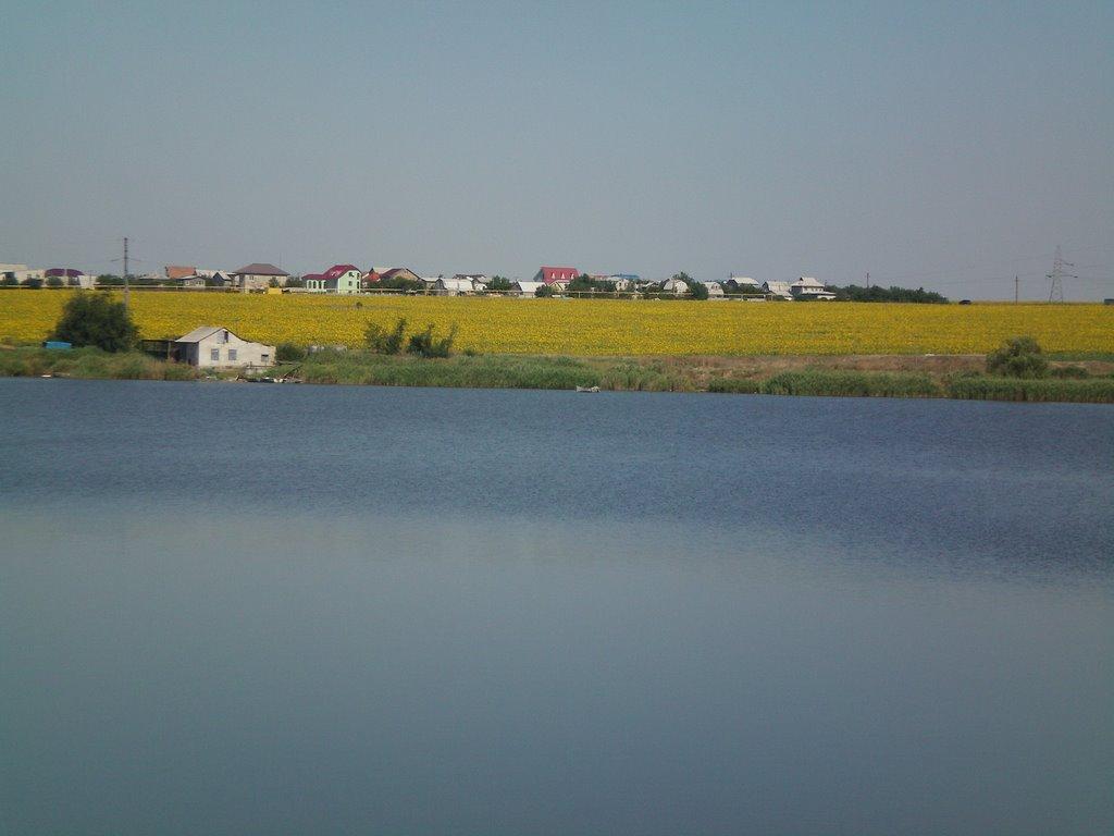 Олександрівка з panoramio.com - Александровка