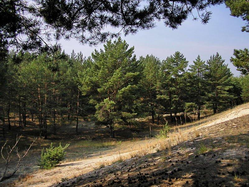 Слабин з panoramio.com - Слабин