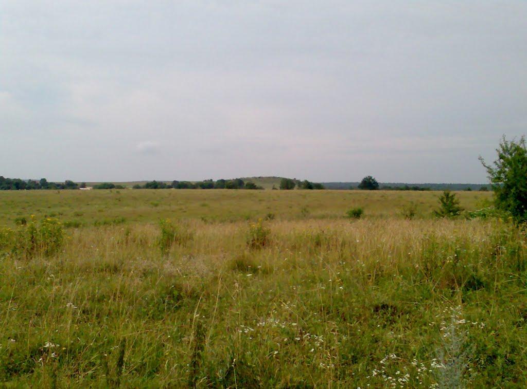 Монастириха з panoramio.com - Монастириха