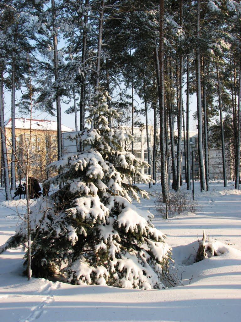 Славутич з panoramio.com - Славутич