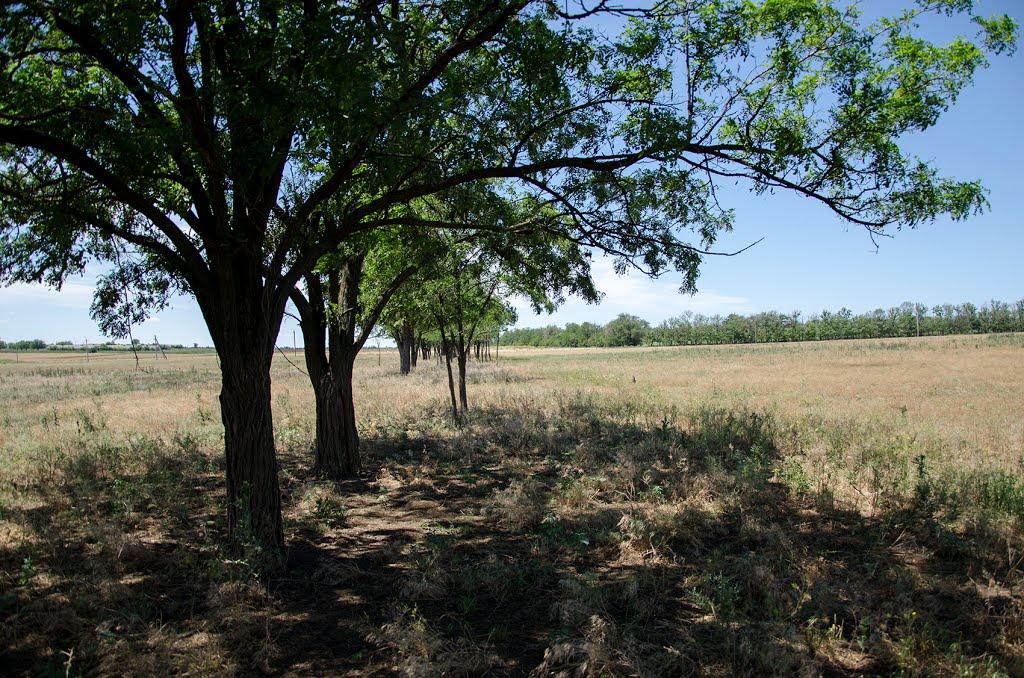 Володарське з panoramio.com - Володарське