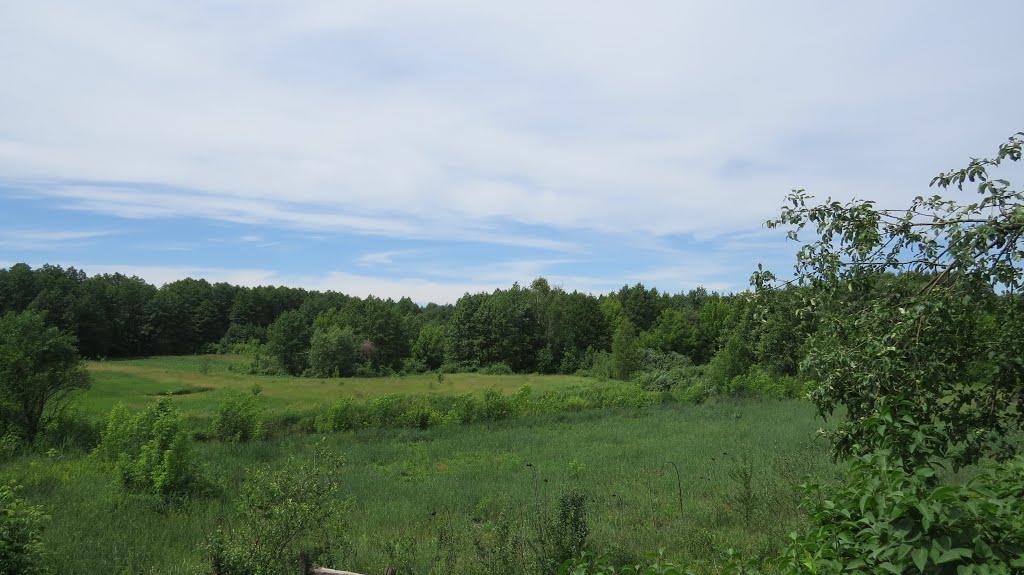 Софіївка з panoramio.com - Софиевка