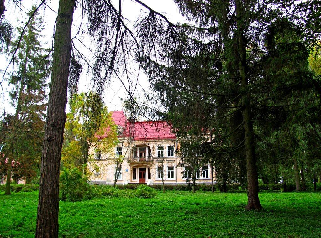 Малинів з panoramio.com - Малинів