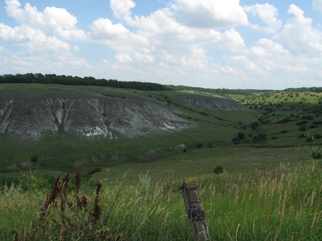 Крива Лука з panoramio.com - Крива Лука