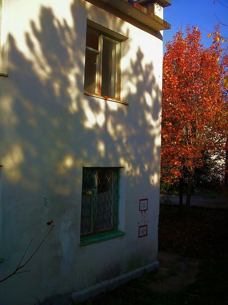 Голубинка з panoramio.com - Golubynka