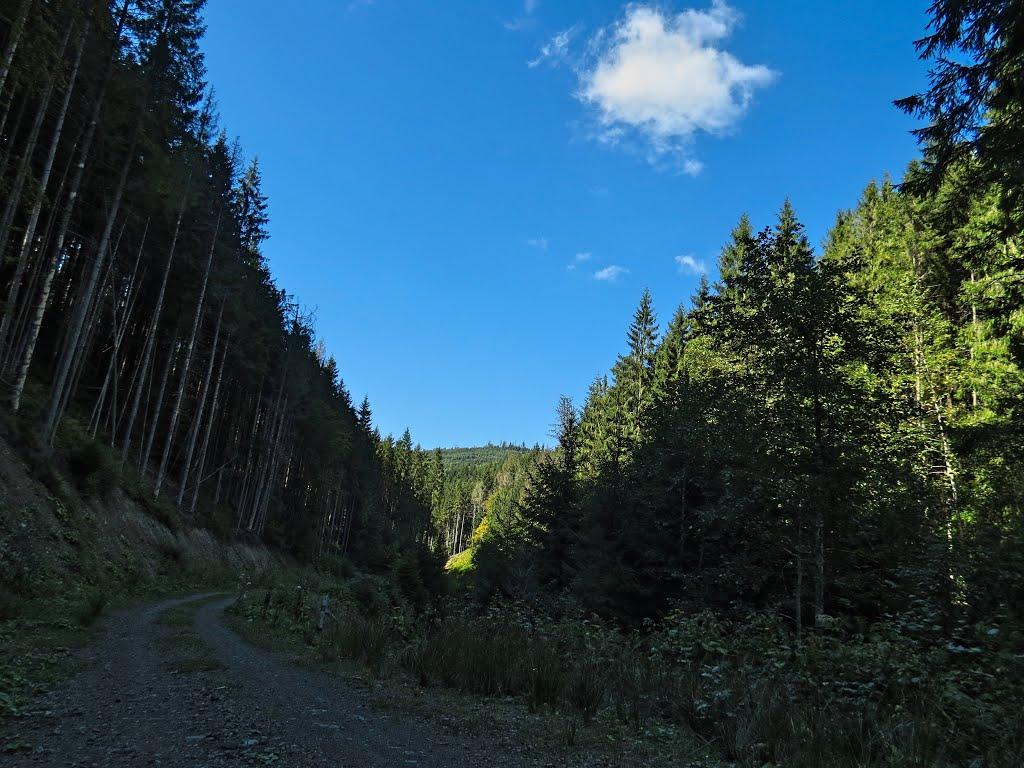 Нижня Рожанка з panoramio.com - Нижняя Рожанка