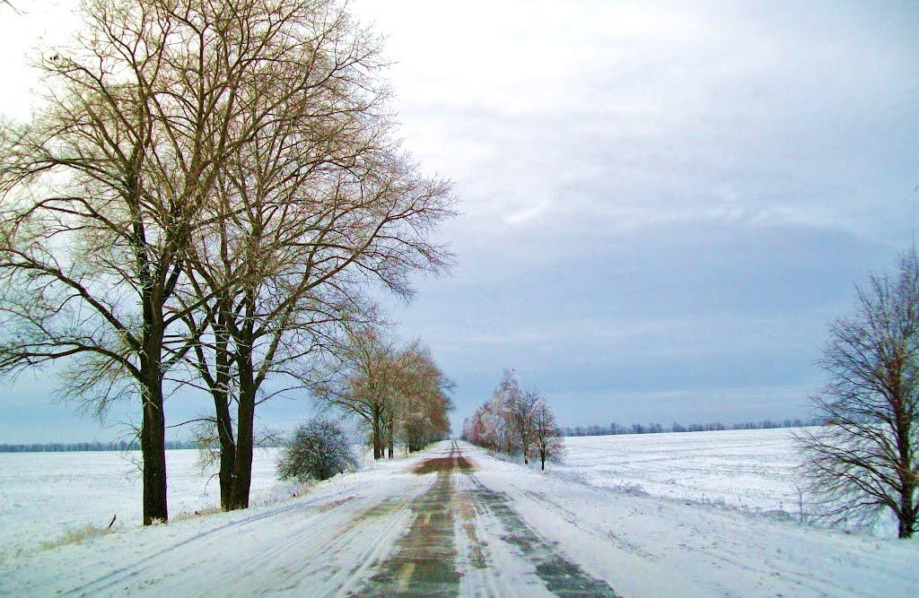 Дорогинка з panoramio.com - Дорогинка