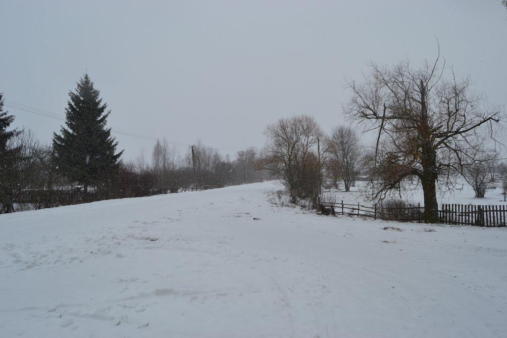 Берегове з panoramio.com - Береговое