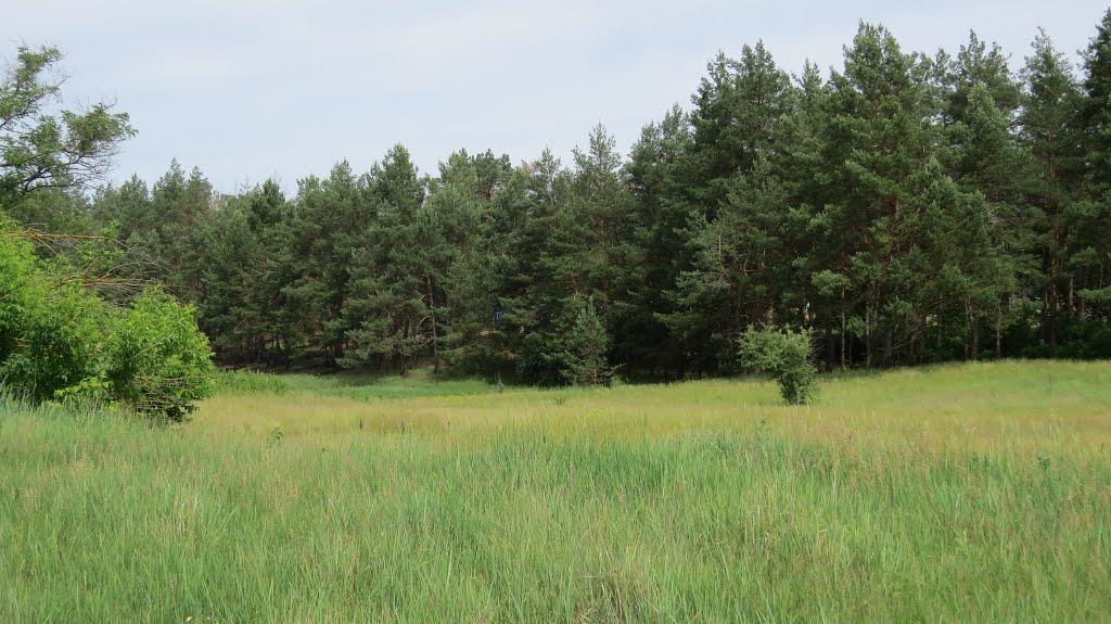 Софіївка з panoramio.com - Софиевка