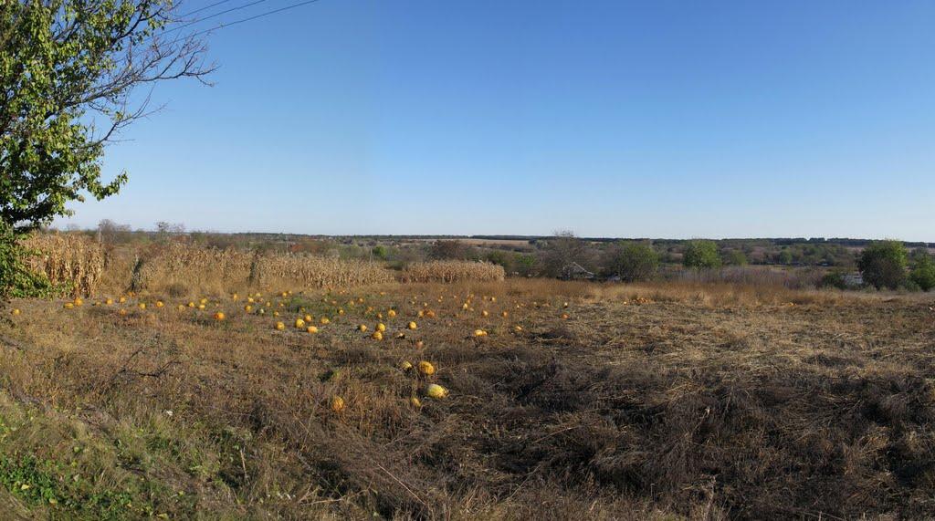 Бовтишка з panoramio.com - Бовтишка